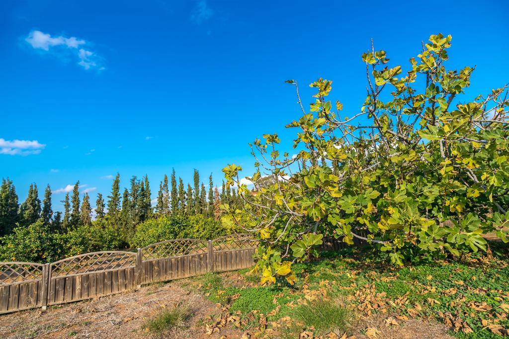 סוניו Legrena Beach Villa מראה חיצוני תמונה
