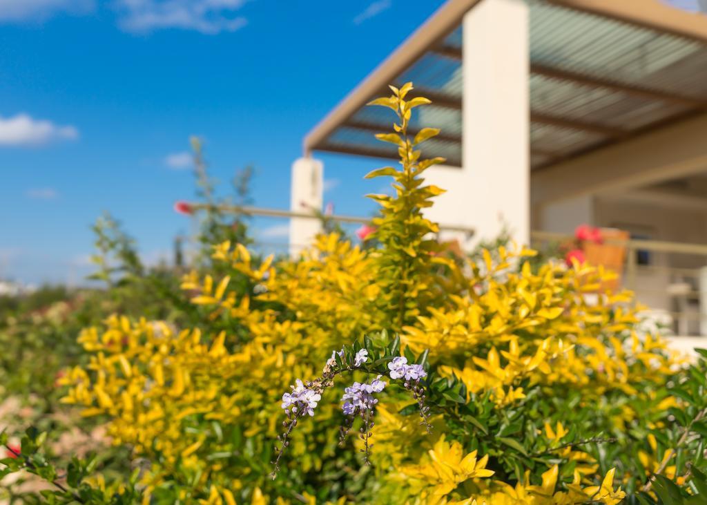 סוניו Legrena Beach Villa מראה חיצוני תמונה